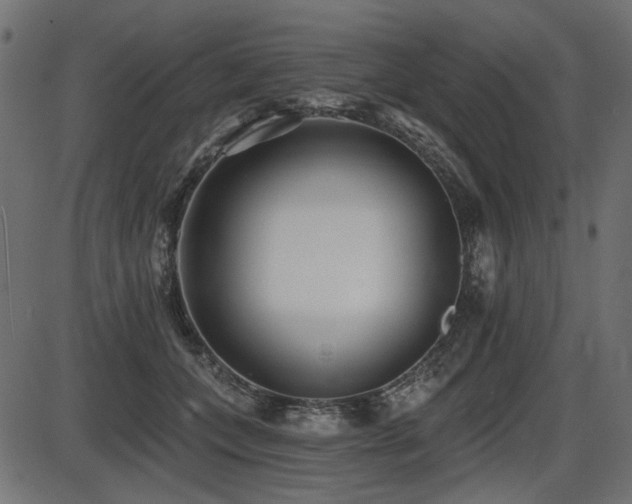 X0000087630559200705031448