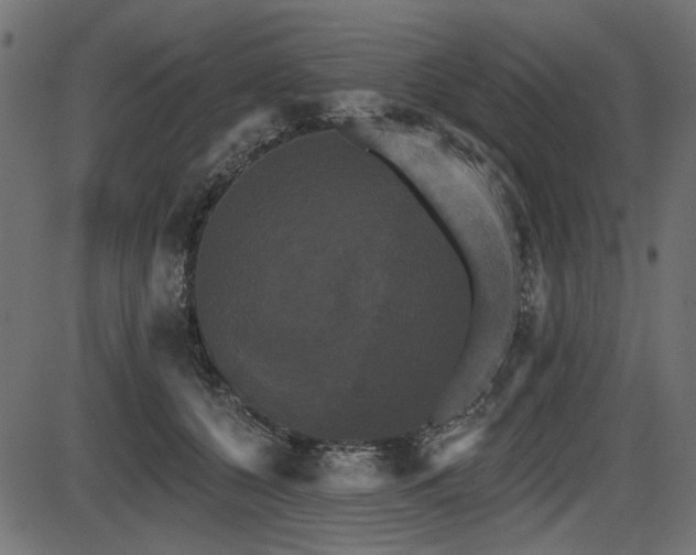 X0000087630560200705031448