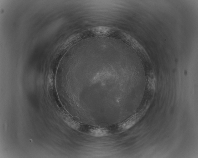 X0000087630561200705031448