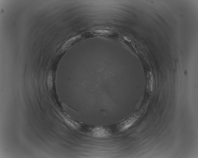 X0000087630562200705031448