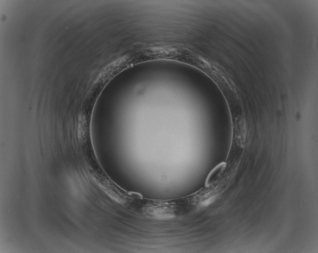 X0000087630563200705031448