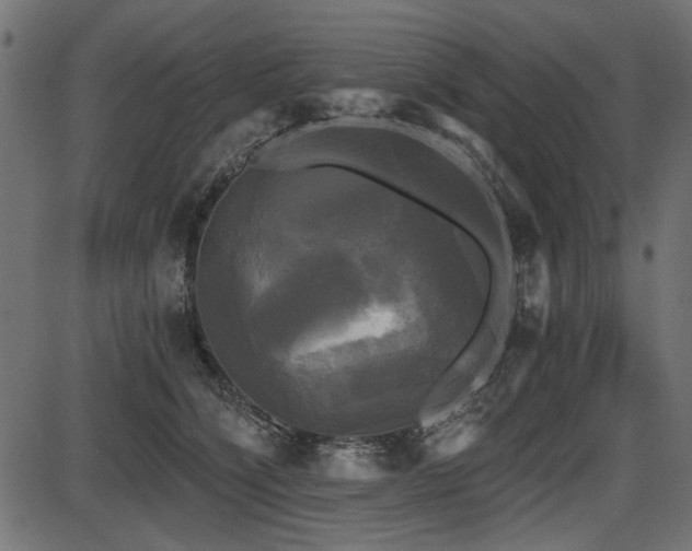 X0000087630564200705031448