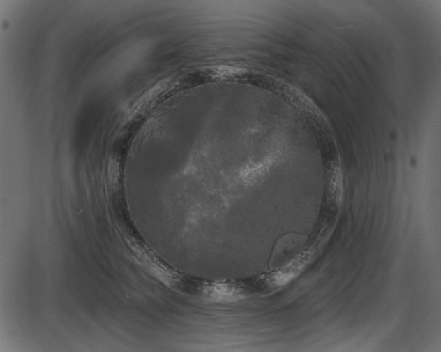 X0000087630565200705031448