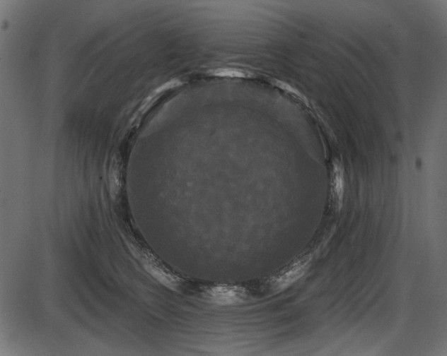 X0000087630566200705031448