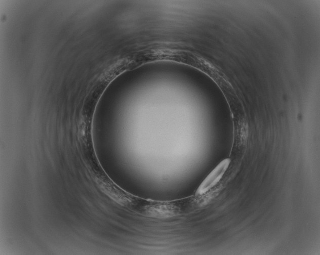 X0000087630567200705031448