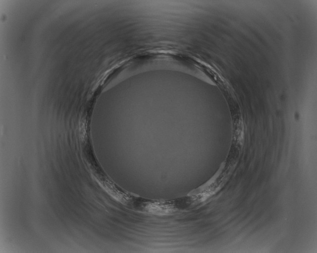 X0000087630568200705031448