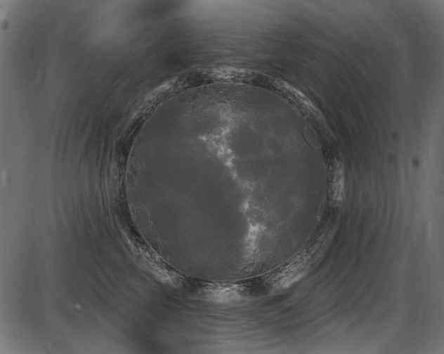 X0000087630569200705031448