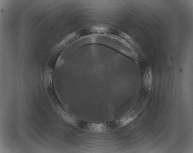 X0000087630570200705031448