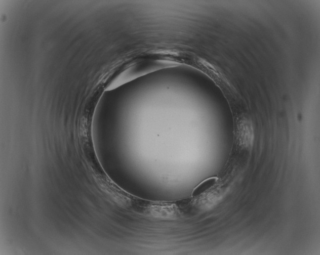 X0000087630571200705031448