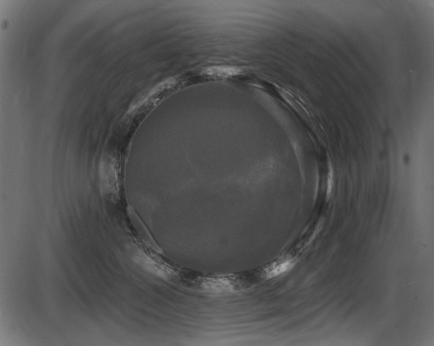 X0000087630572200705031448