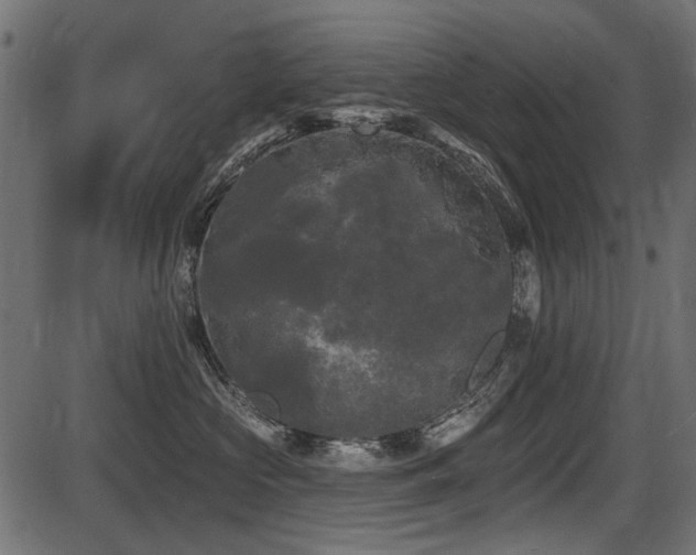 X0000087630573200705031448