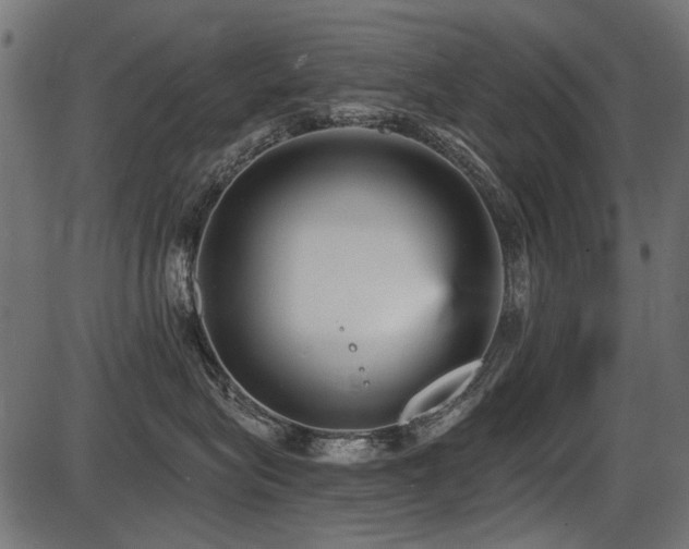 X0000087630575200705031448