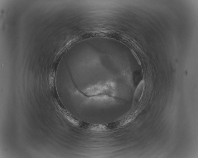 X0000087630576200705031448