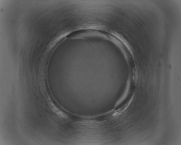 X0000087630577200705031448