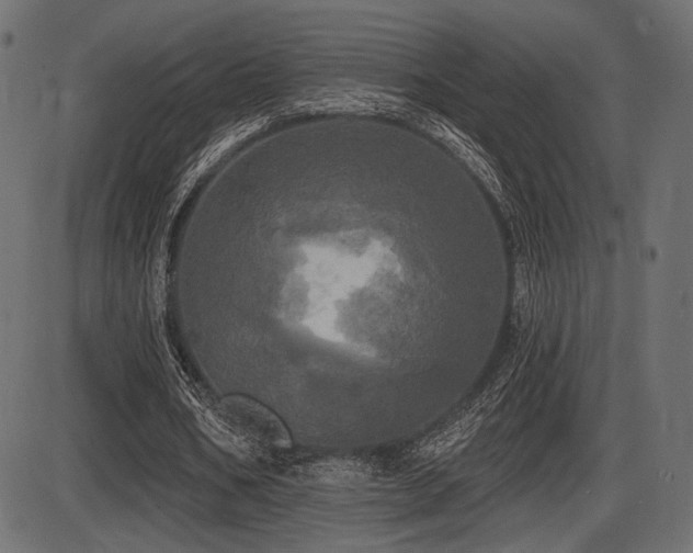 X0000087630578200705031448