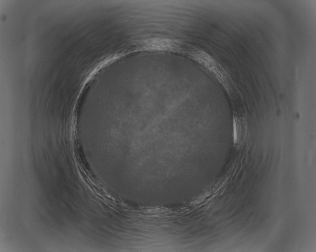 X0000087630579200705031447