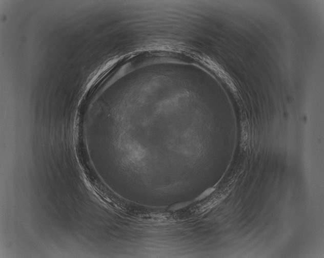 X0000087630580200705031447