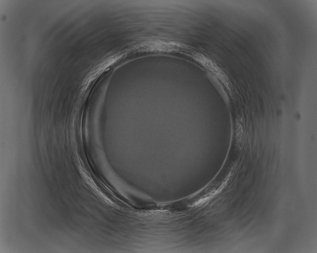X0000087630581200705031447