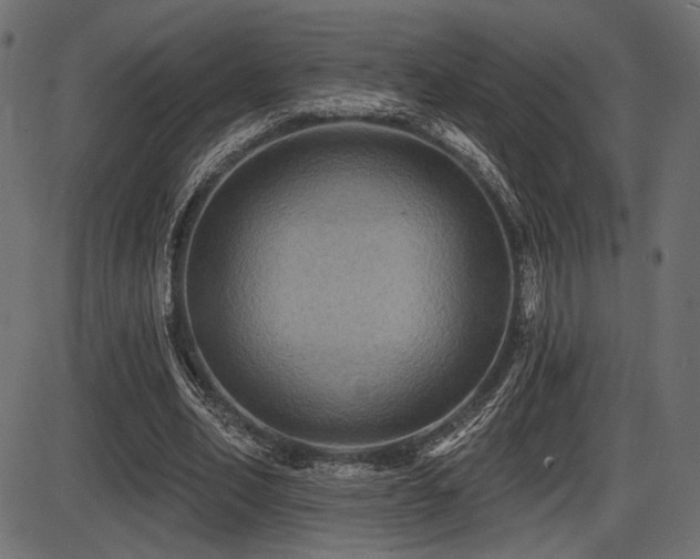 X0000087630582200705031447