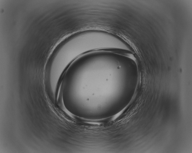 X0000087630584200705031447