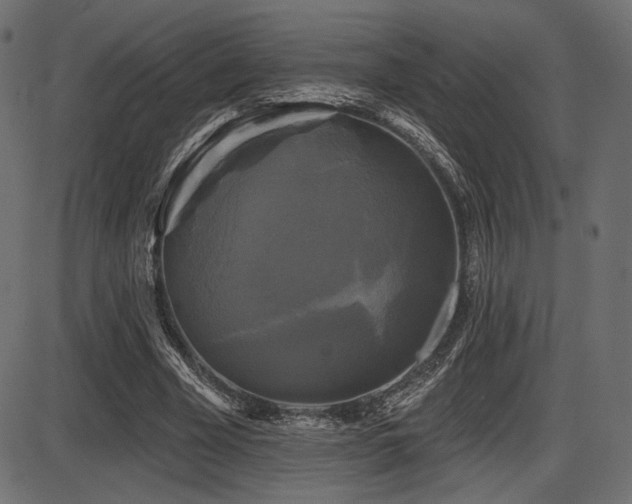 X0000087630585200705031447