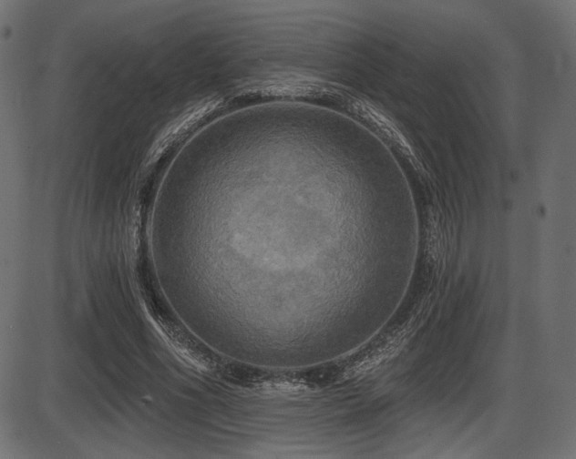 X0000087630586200705031447
