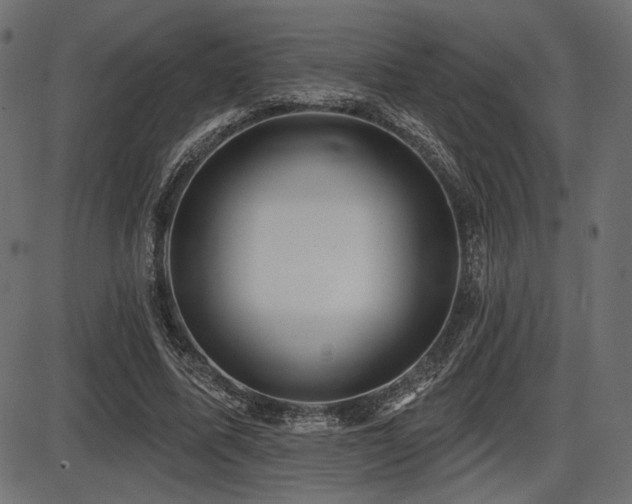 X0000087630587200705031447