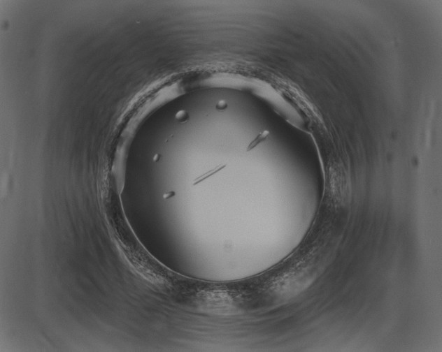 X0000087630588200705031447
