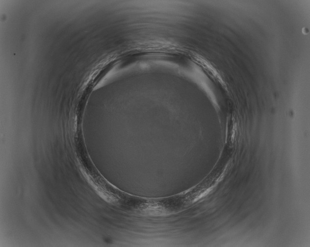 X0000087630589200705031447