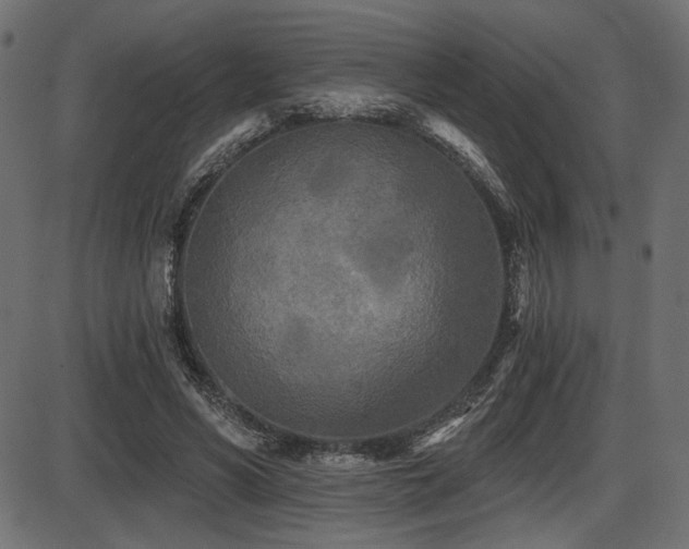 X0000087630590200705031447