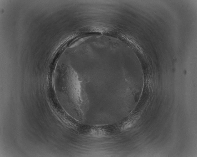 X0000087630591200705031447