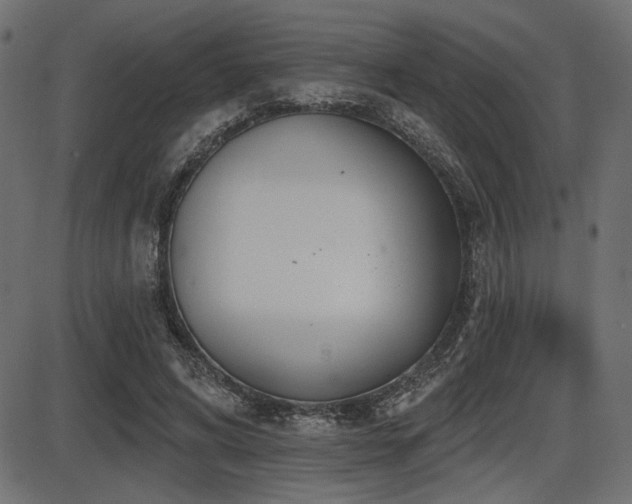 X0000087630592200705031447