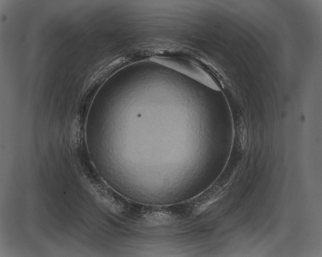 X0000087630594200705031447