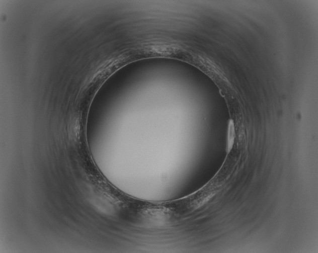 X0000087630595200705031447