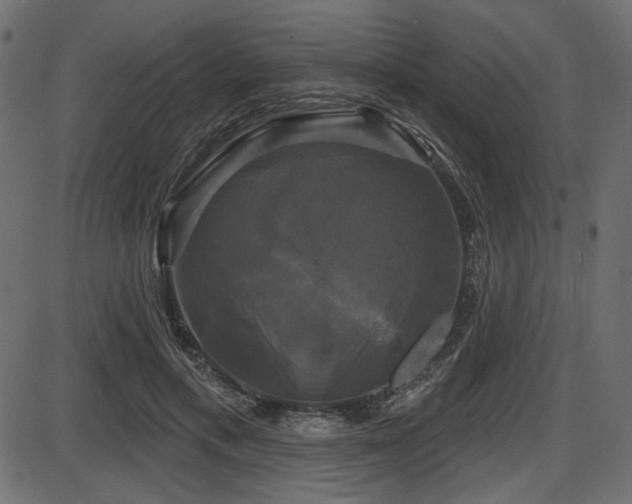 X0000087630597200705031447