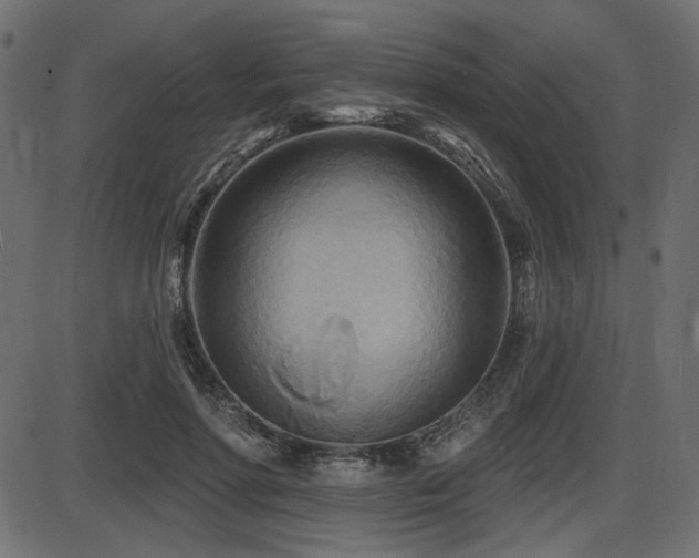 X0000087630598200705031447