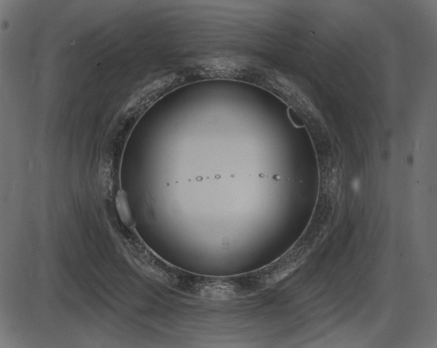 X0000087630599200705031447