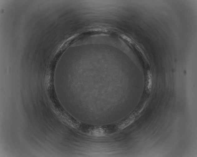 X0000087630600200705031447