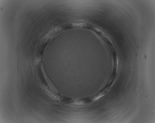 X0000087630601200705031447
