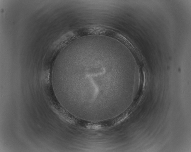X0000087630602200705031447