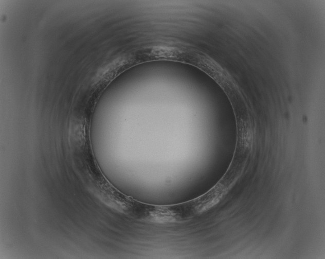 X0000087630603200705031447