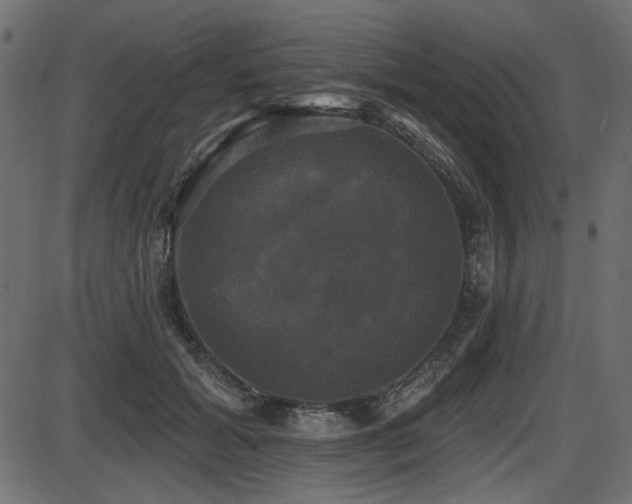X0000087630605200705031447