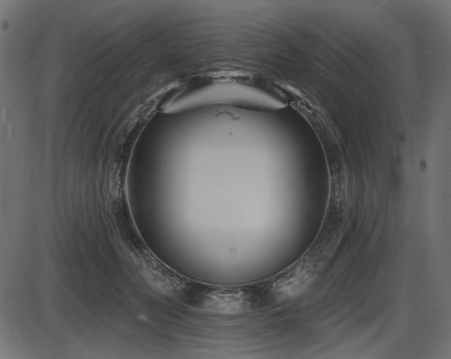X0000087630606200705031447