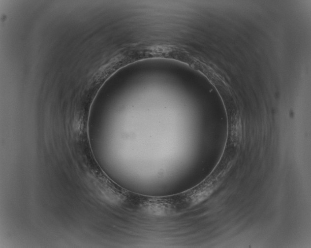X0000087630608200705031447