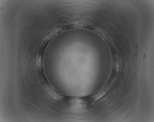 X0000087630610200705031447