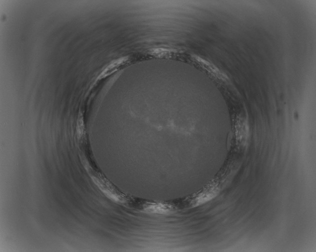 X0000087630611200705031447