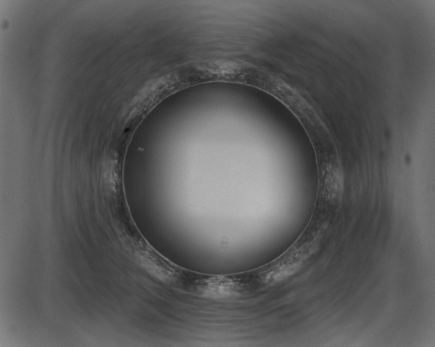 X0000087630612200705031447