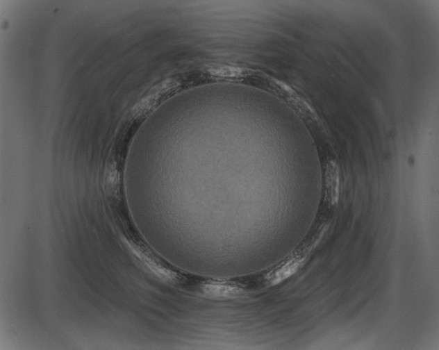 X0000087630614200705031447