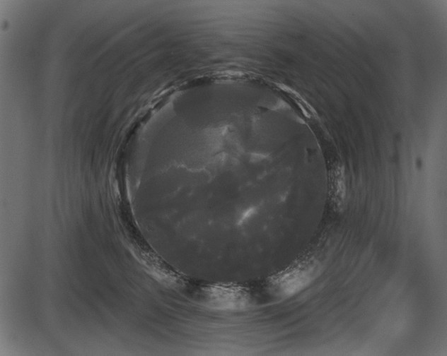 X0000087630615200705031447