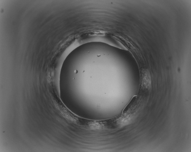 X0000087630616200705031447